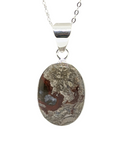 Dragon Blood Jasper in Sterling Silver 20" necklace